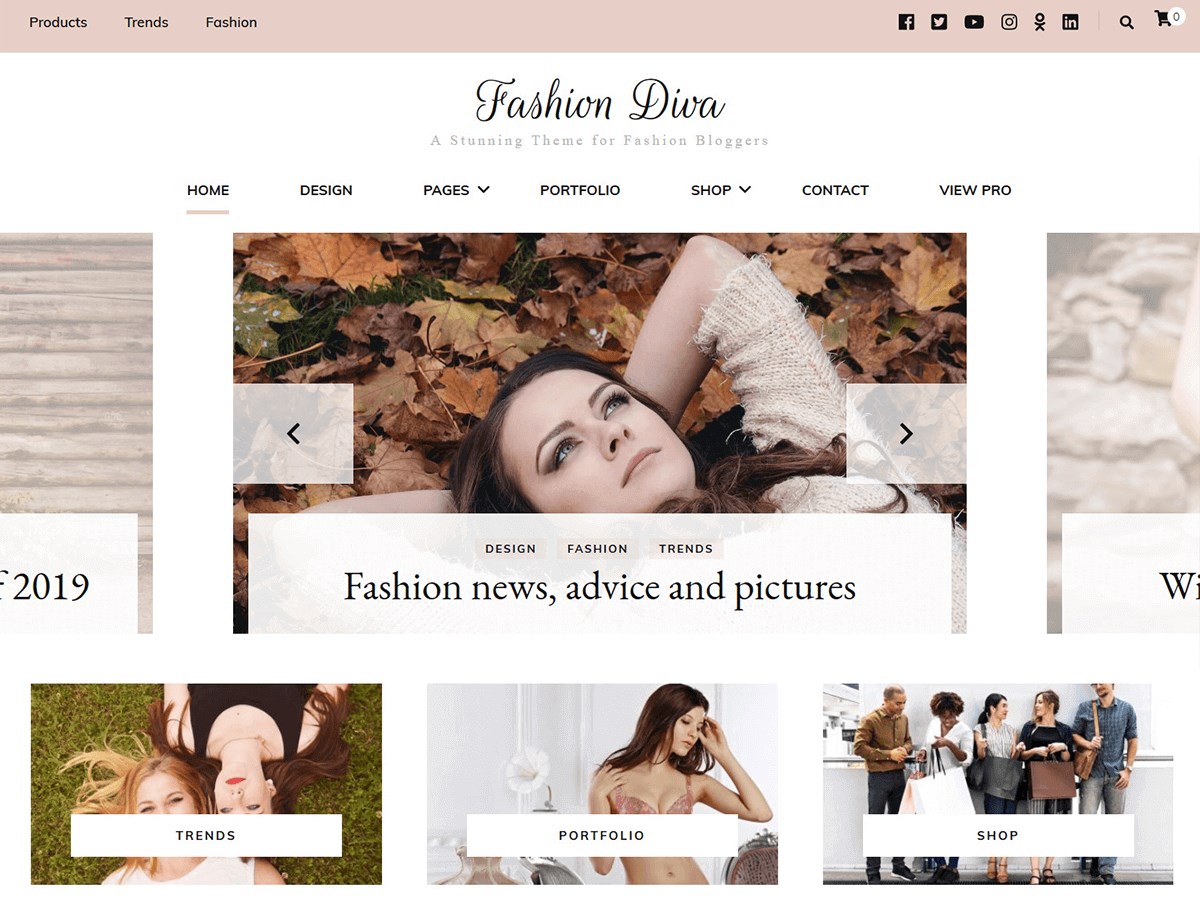 Fashion Diva By Blossom Themes demo