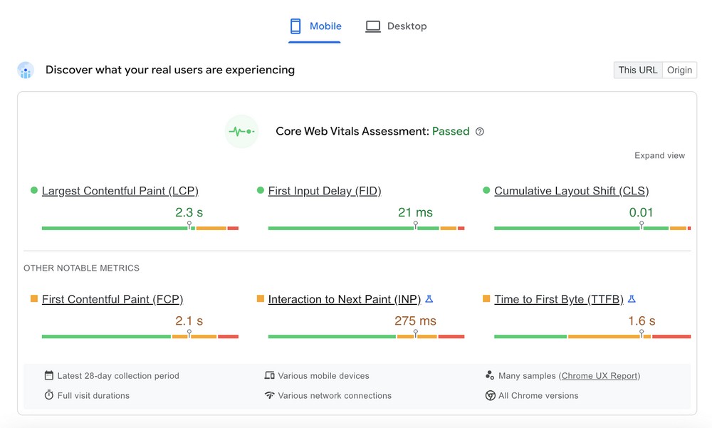 PageSpeed Insights report page